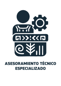 Asesoramiento Técnico Especializado - Acompañamiento para escalar, fortalecer o implementar las propuestas.