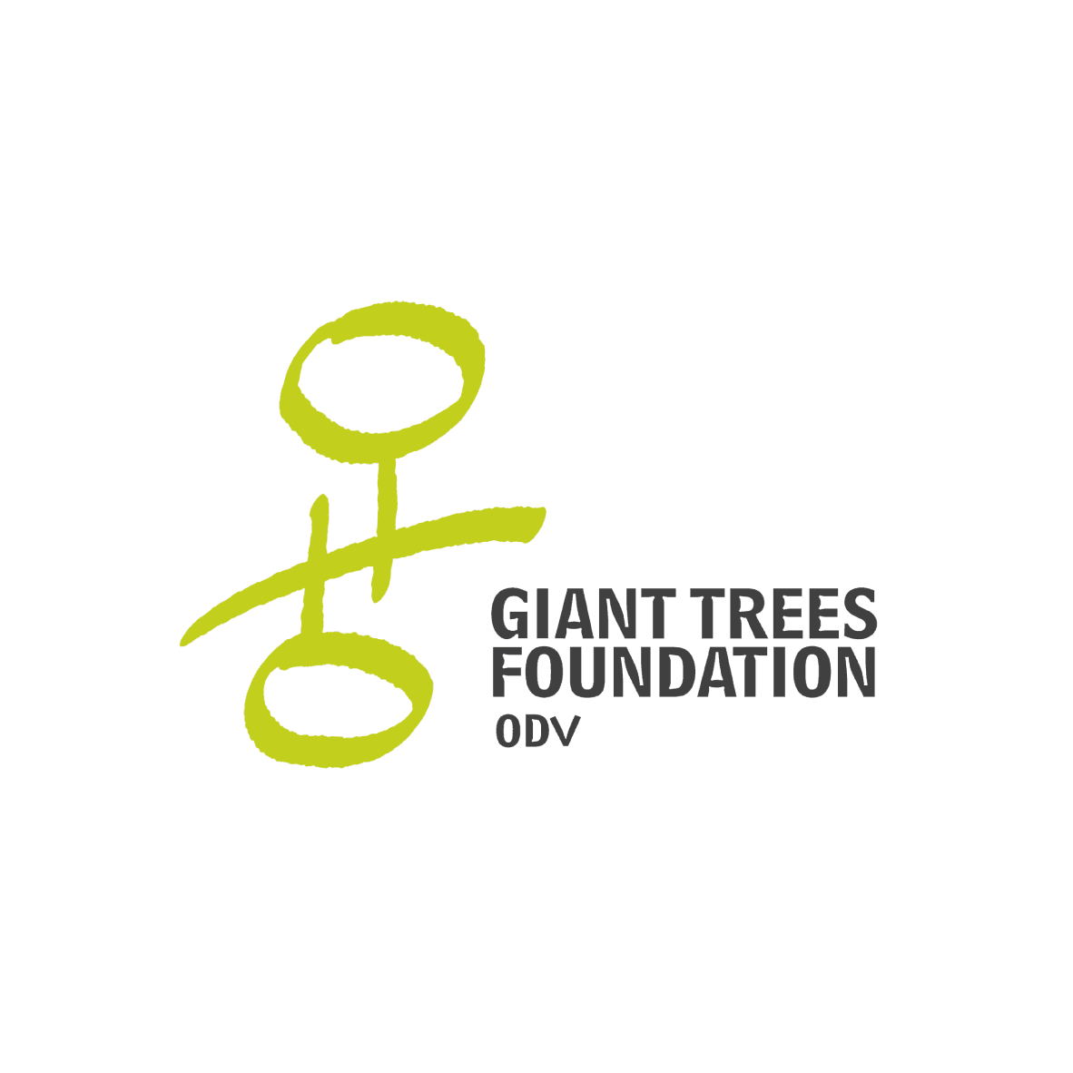 Giant Trees Foundation
