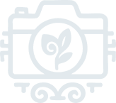 Fotógrafo profesional